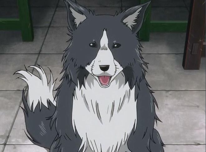 二次元3位犬系帅哥,杀生丸悲情,庄介温暖,因幡洋功能多!