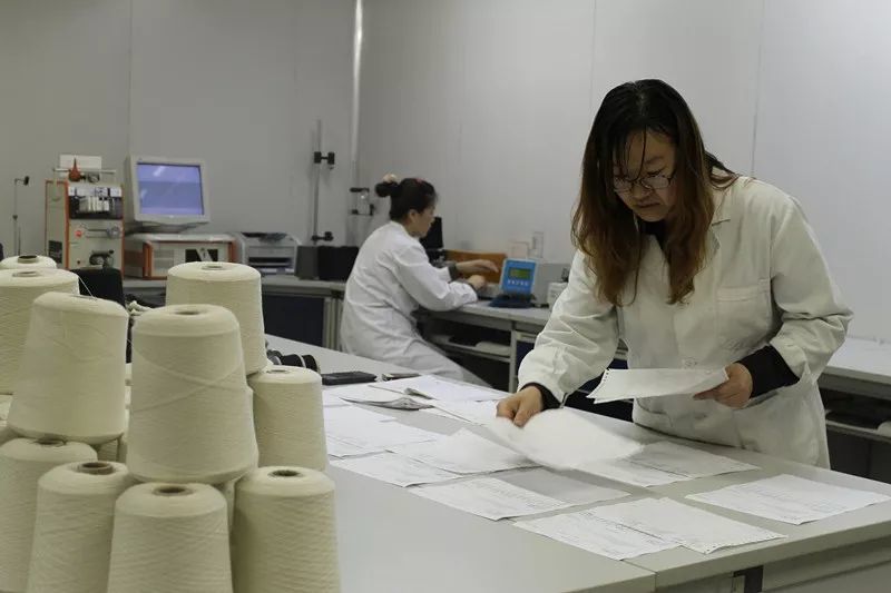 鄂尔多斯羊绒集团:挺立潮头的羊绒大王