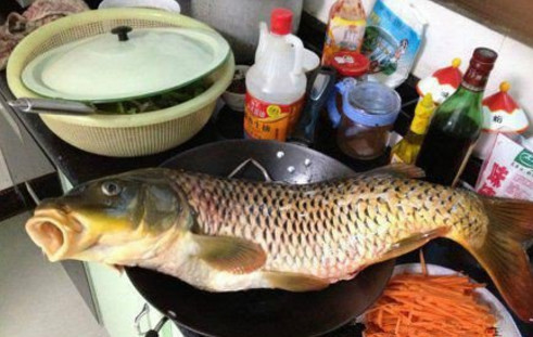 搞笑段子:老公终于按耐不住了,默默地去冰箱拿