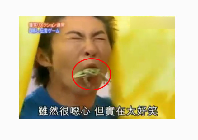 公认全球素质最高,却又为何总干变态的事?这个