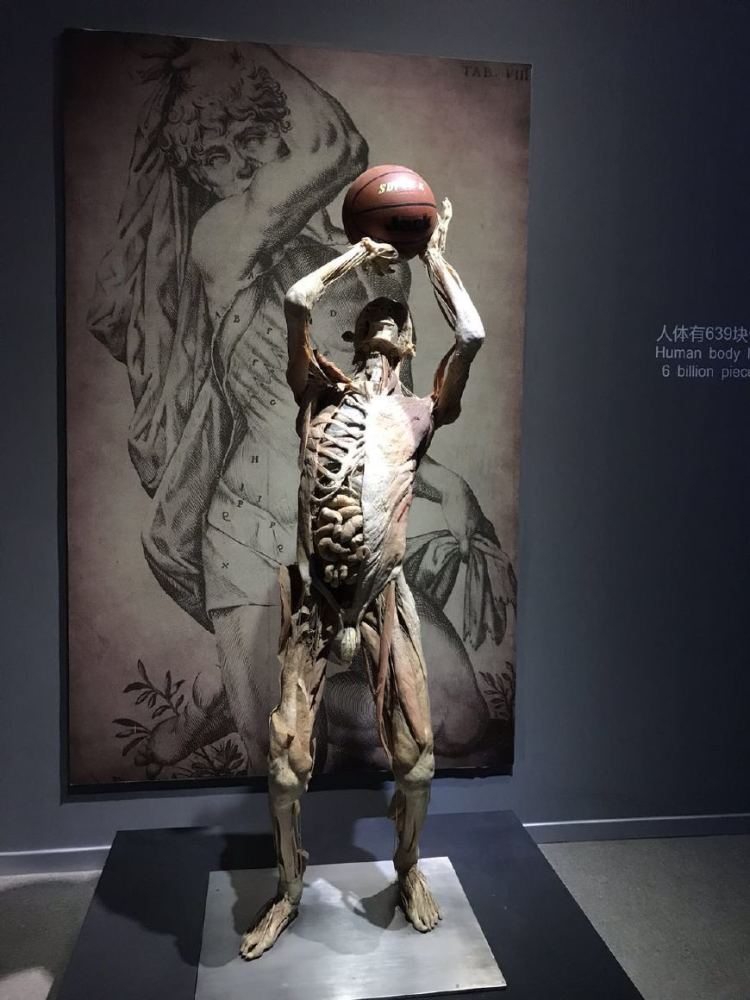 中国最干净的海滩之一,大多数人都去错了季节