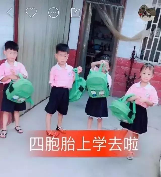 阜阳4个6岁娃火遍全国!一条直播视频破100万
