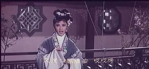 贾樟柯到底有多爱香港?