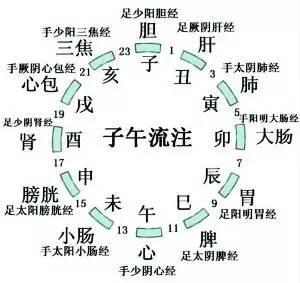 子午流注(资料图)