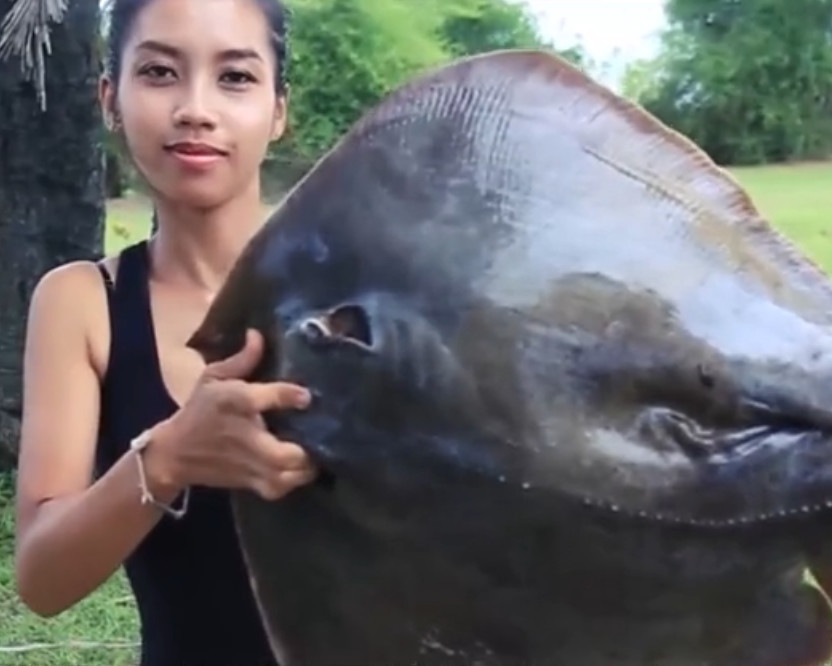 国外美女直播吃赤魟鱼,处理尾巴的时候,网友却替她捏把汗!