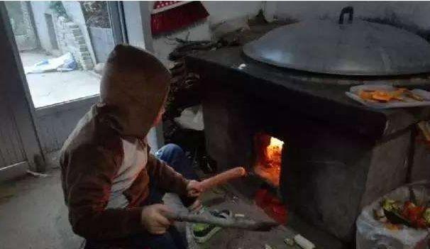 为什么东北人那么爱吃炖菜,东北人:天太冷,要烧