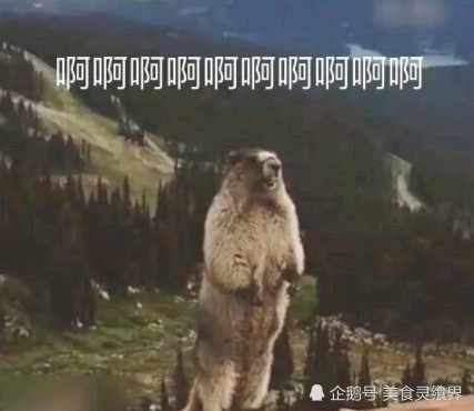 老婆送来的海鲜蛋糕,切开才知是惊喜,网友:别让