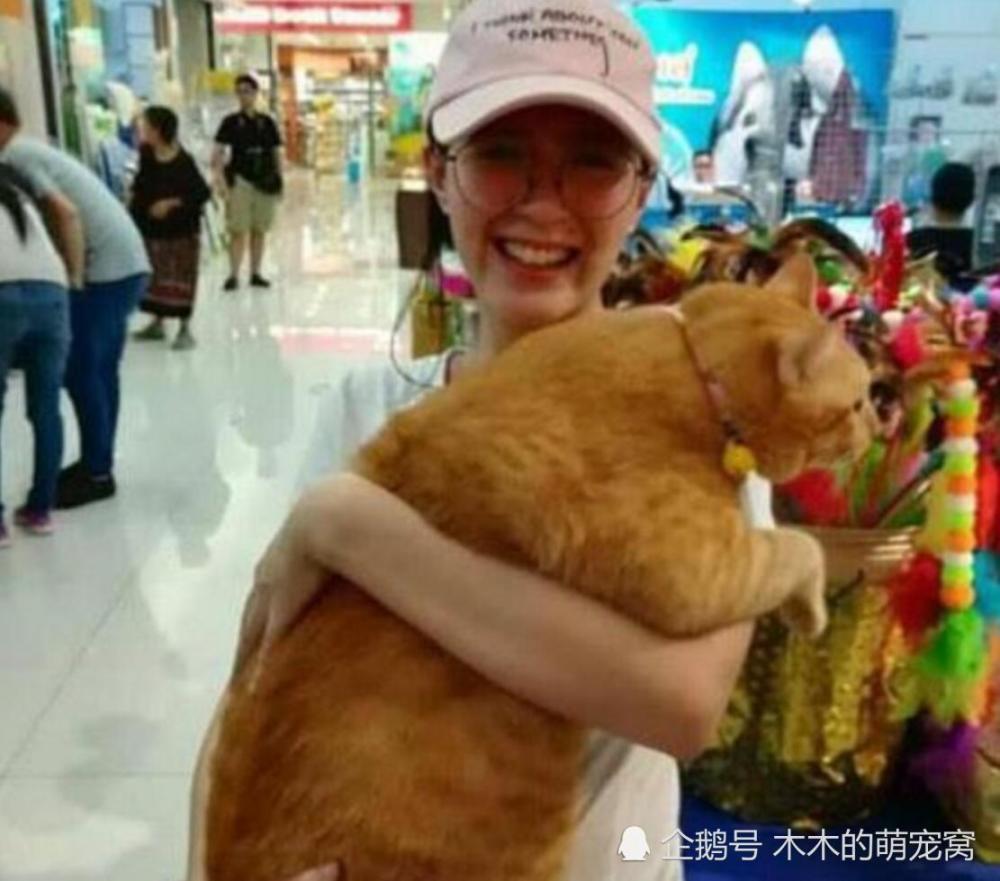 美女主人带橙猫出门遛弯,没走几步橙猫就耍赖不走,最后只好这样