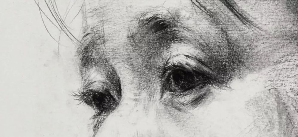 素描头像中如何画出一双摄人心魄的眼睛?