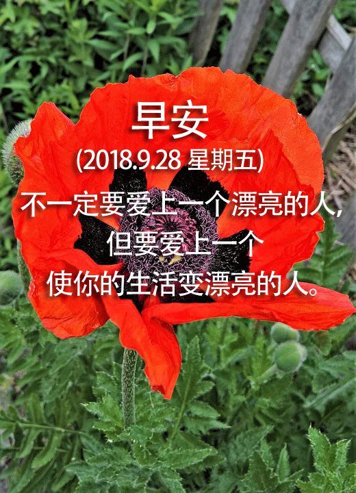 不一定要爱上一个漂亮的人,但要爱上一个使你的生活变漂亮的人.