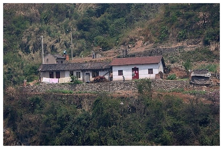 家里温顺的狗狗突然咬伤主人,到医院后,医生:全