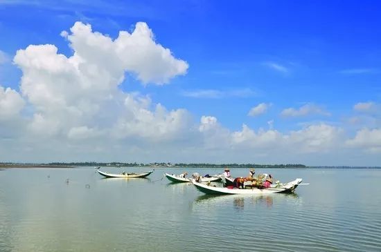 美得不像话!秋天湛江最佳网红拍摄点竟是这里