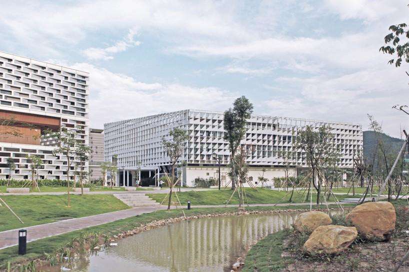 留学率最高的大学不是985,而是这所大学,留学