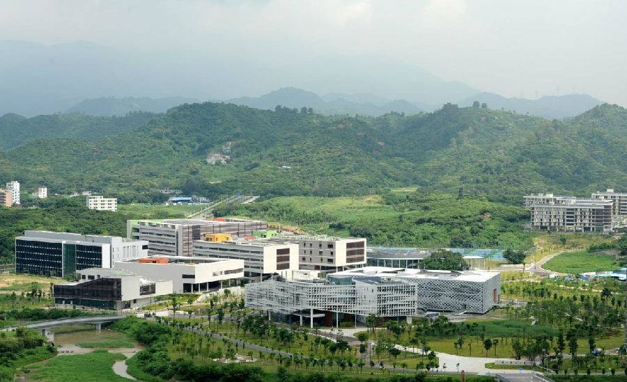 留学率最高的大学不是985,而是这所大学,留学