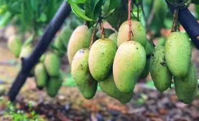 孩子了!广西整治幼儿园小学化,禁止教拼音、