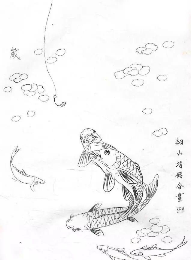 工笔锦鲤画法与白描画稿教学示范,工笔鱼的画法步骤及