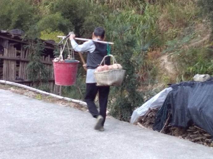 温州农村人口补贴_温州各区人口