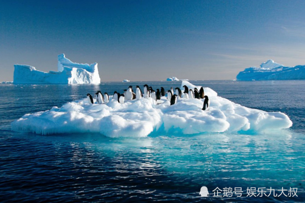 南极冰川融化出现了地球上不该出现的东西,专家一句话