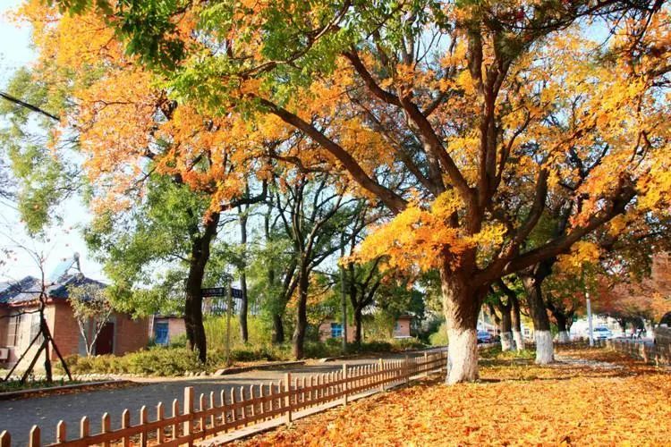 旅顺太阳沟   太阳沟位于旅顺,是一个让时间慢下来的地方.