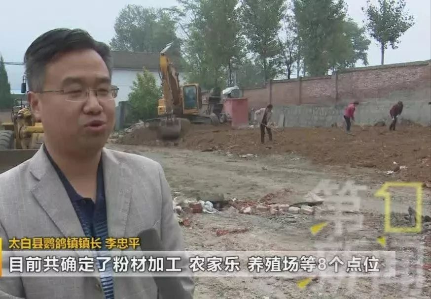 太白县鹦鸽镇镇长 李忠平