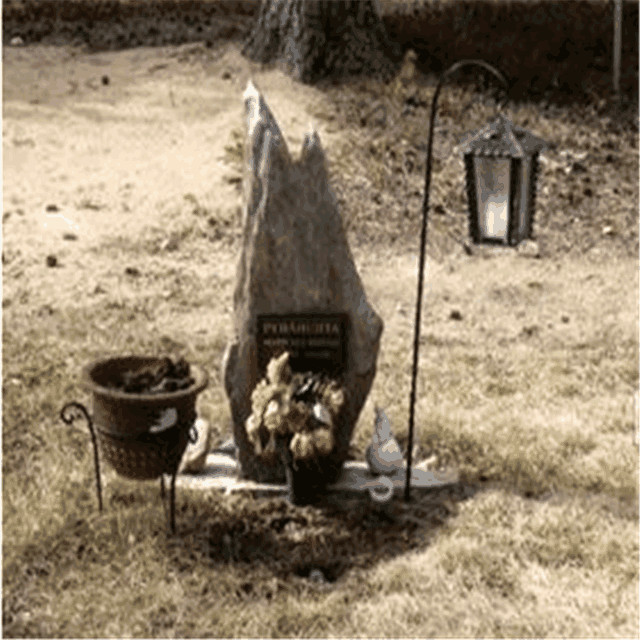 拿破仑真的死于疾病?医生检查尸体才得知,是中毒而死!