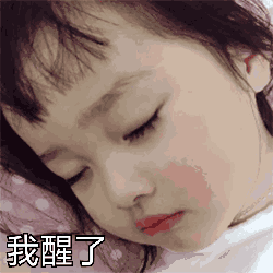 权律二萌萌哒动图表情包