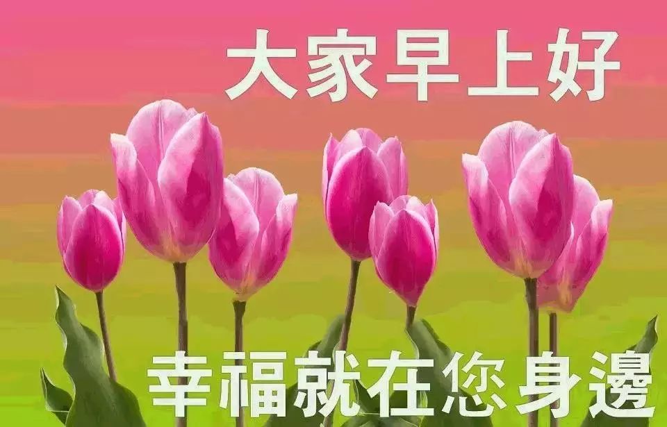 早上好祝福语2019 早上好问候语表情图片