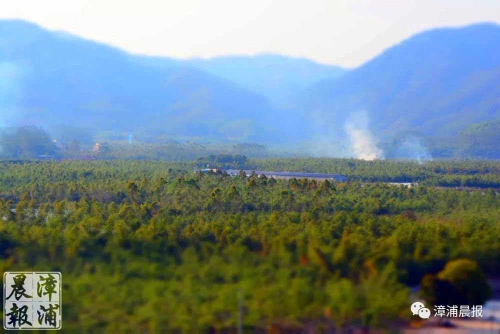 在南浦乡水土保持生态公园,清澈的龙溪之水缓缓而过,乡间戏水,别样