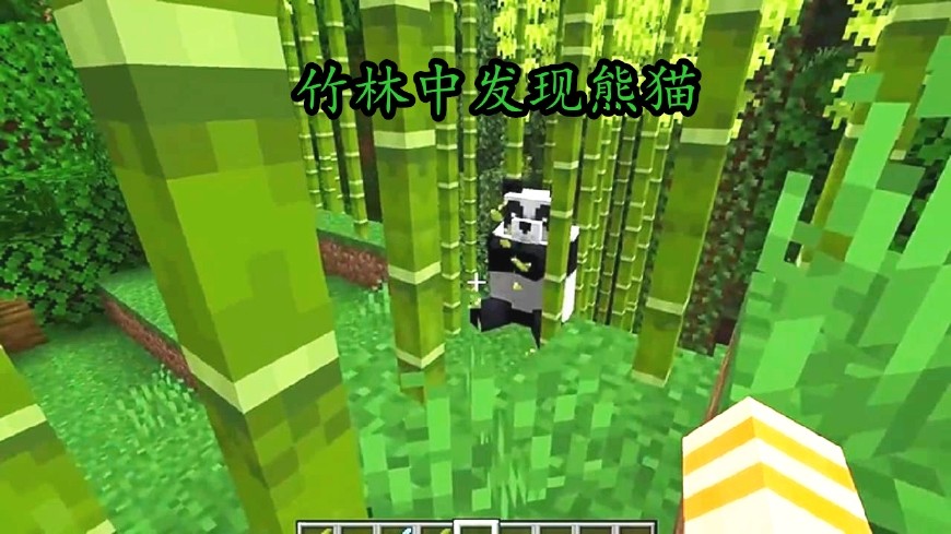 我的世界 熊猫更新计划发布 8大特性不负众望 竹子还会远么 看点快报