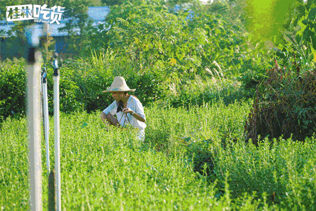 记忆中的亲子传统老游戏 带着老人走走逛逛,带着宝贝上蹿下跳 享受全