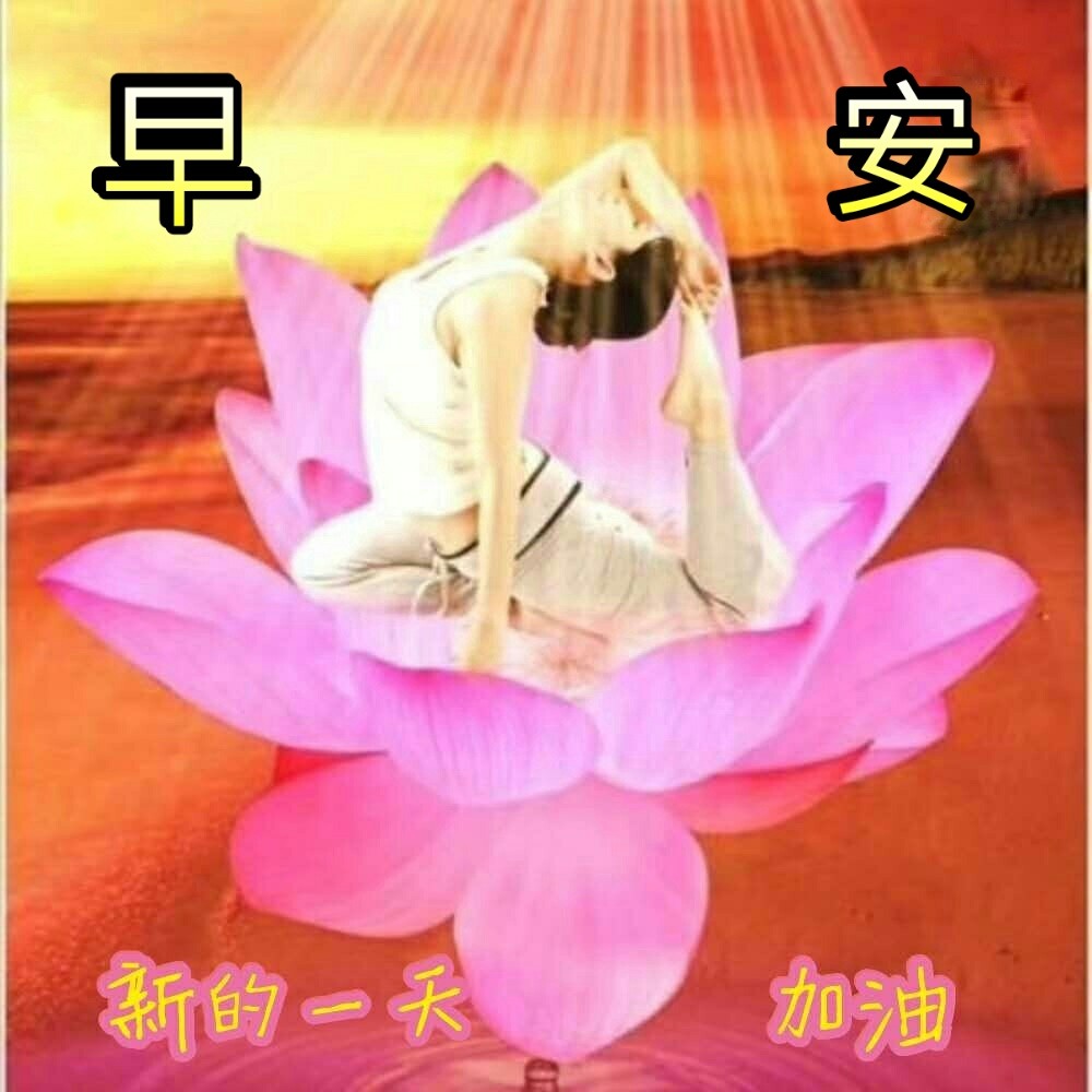 "早安" "早上好" 精美表情图片,温馨甜美的让你爱不释
