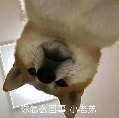 真让人头大
