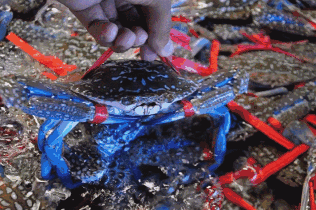 早上玉林吃米粉,中午湛江食海鲜_腾讯新闻