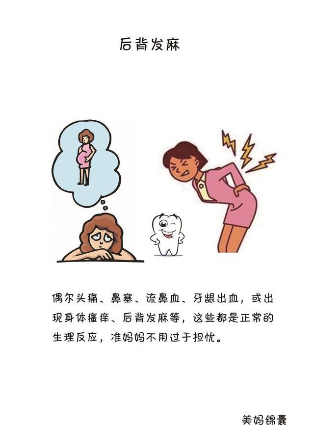 准妈妈感觉腰挺不直,后背发麻怎么回事?