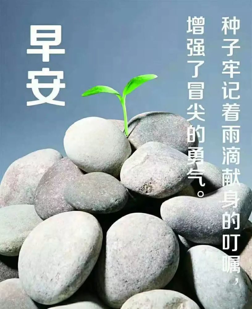 10月3日朋友圈早安素材