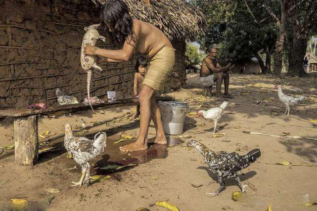 世界最"濒危"的部落:女人母乳喂养小动物,用弓箭和伐木者作战