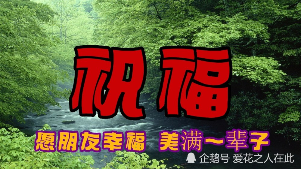 亲爱的朋友晚上好,我的祝福送给你!