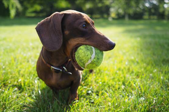 奥林巴斯PEN-F无反体验:颜值满分性能满意