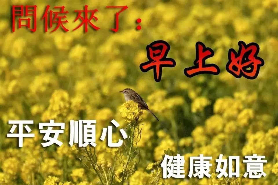 大年初九早晨问候祝福动态表情图片 大年初九早安表情