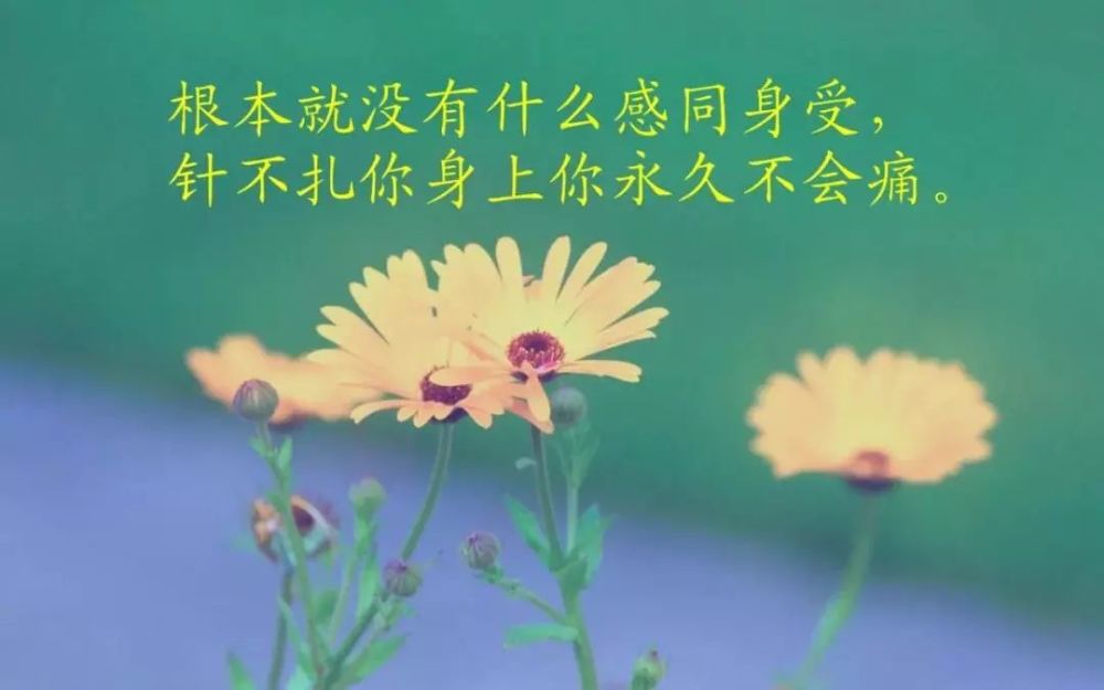 朋友圈感悟人生的经典语句,句句让人走心!