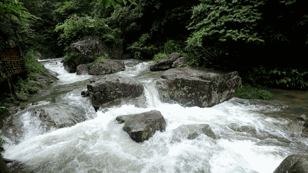 警察蜀黍的风景