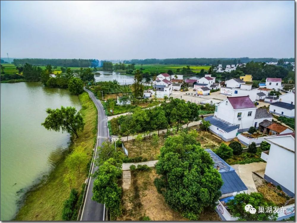 栏杆集镇陈泗湾:巢北江南,梦里水乡