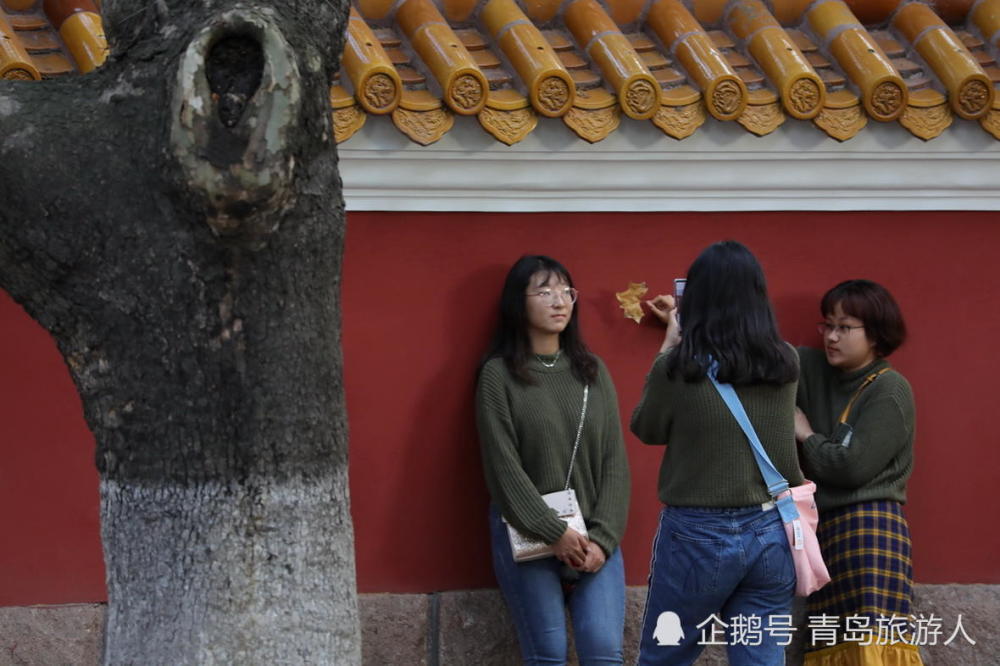 美女们用一片秋叶在红墙前来做道具拍摄.(图文/青岛旅游人)