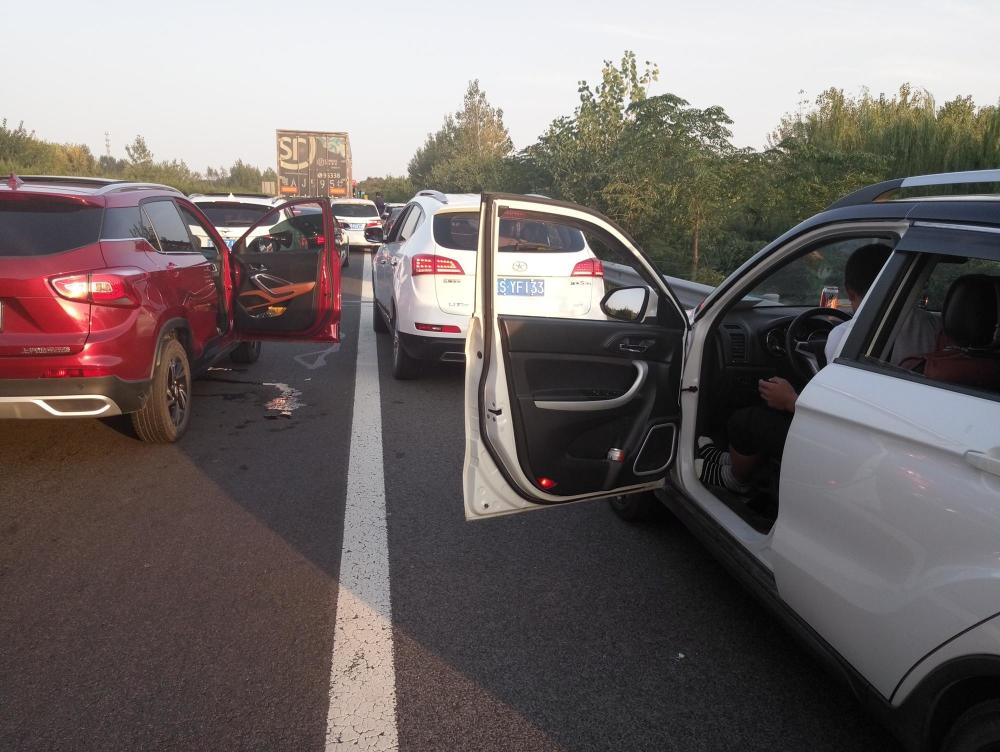 沪陕高速大堵车!车队长得看不到头,有美女直接下车遛狗