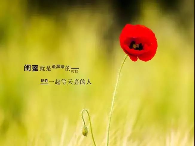 微信朋友圈写到心坎里的人生哲理短句 人生感悟哲理一