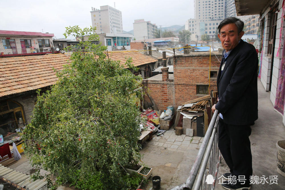 神木当前人口_恶狼游戏神木律图片(3)