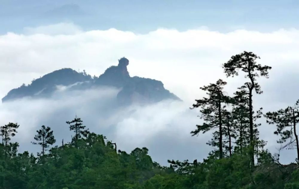 猫儿山国家森林公园丹霞红艳,古木披荫,藤萝缠绕,令人流忘返.