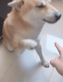 搞笑动图:红灯不能闯,搞得像生化危机一样,吓死人!