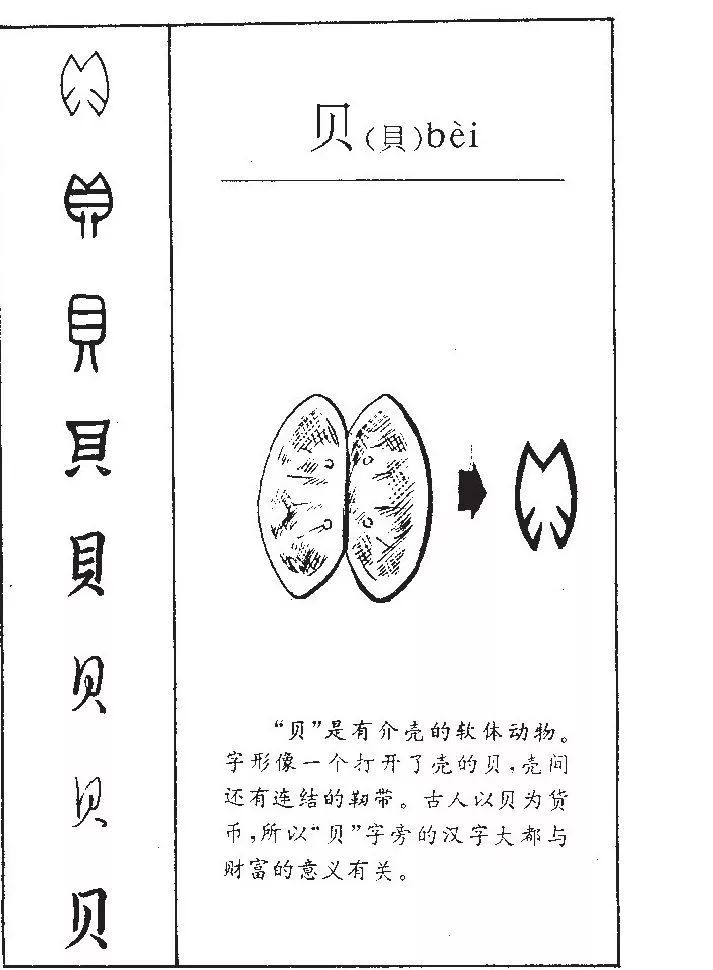 有趣的汉字——贝