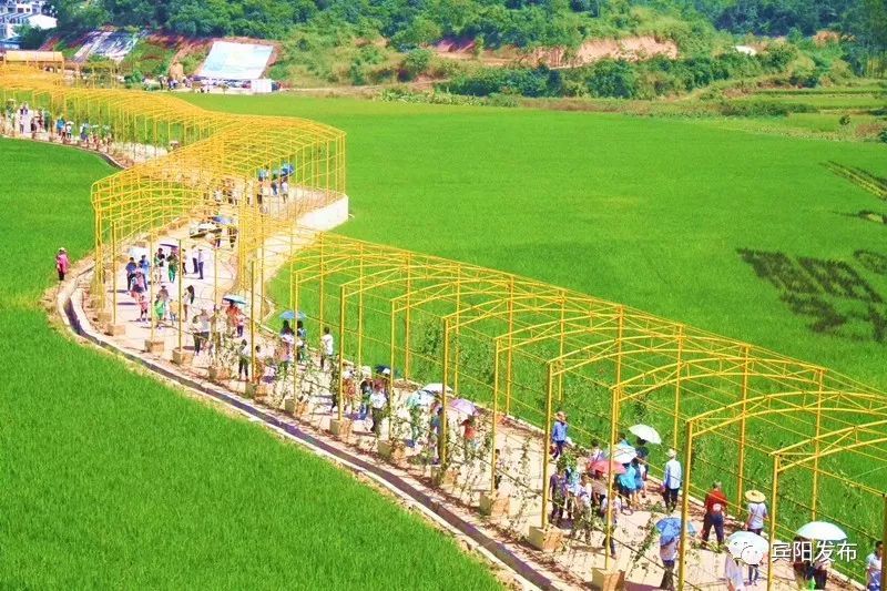 宾阳县,大陆村,古辣镇,文旅,南宁